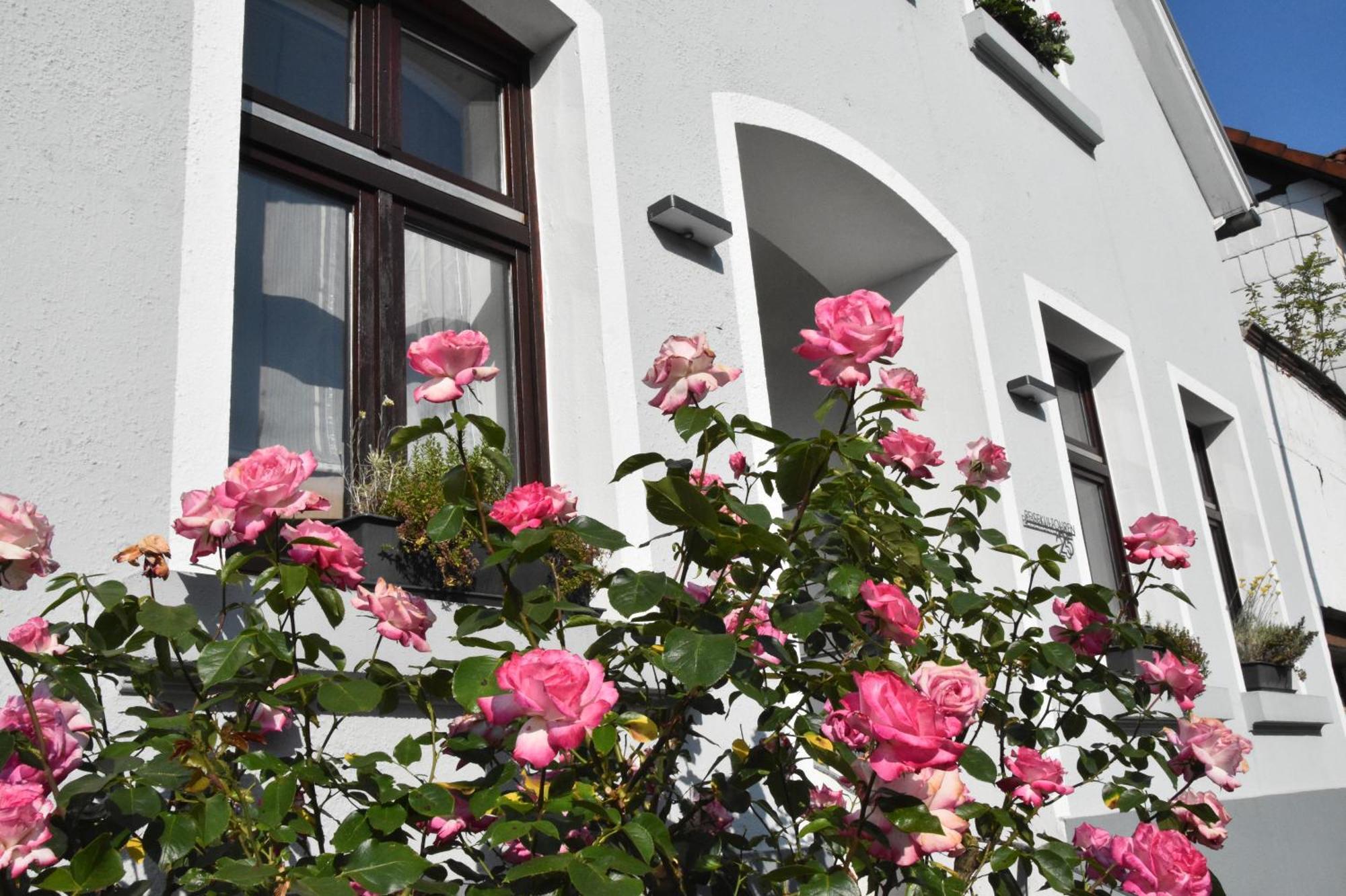 Reisekultouren Apartments Detmold Exterior photo